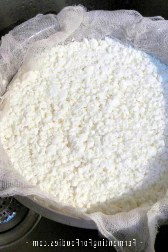 Buttermilk cottage cheese